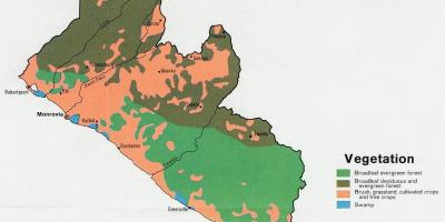 Kaart van de vegetatie kaart van Liberia